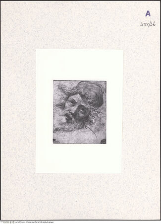 Vorderseite von bh434803_recto