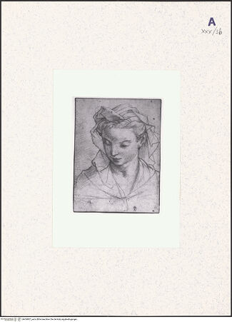 Vorderseite von bh434807_recto