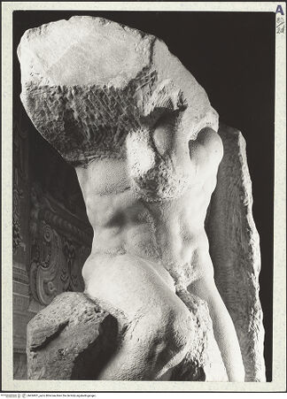 Vorderseite von bh434951_recto