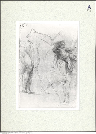 Vorderseite von bh434973_recto