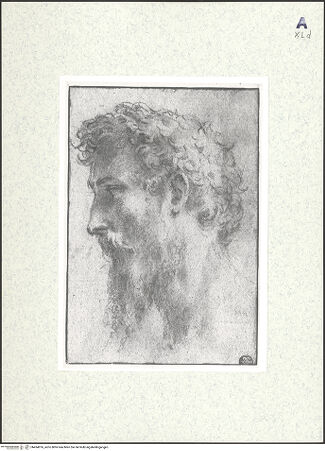 Vorderseite von bh434976_recto