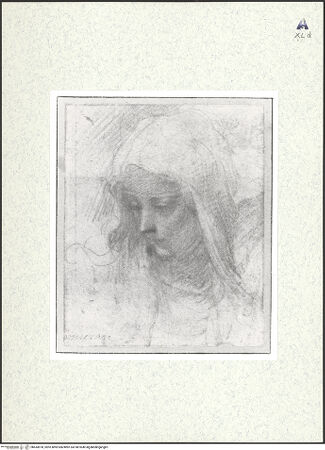 Vorderseite von bh434978_recto