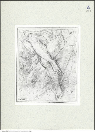 Vorderseite von bh434979_recto