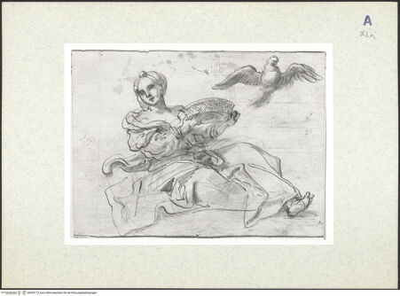 Vorderseite von bh435113_recto