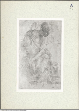 Vorderseite von bh435125_recto