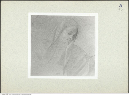 Vorderseite von bh435130_recto