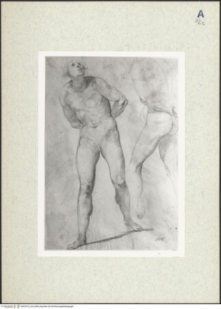 Vorderseite von bh435132_recto