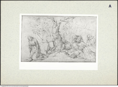 Vorderseite von bh435144_recto