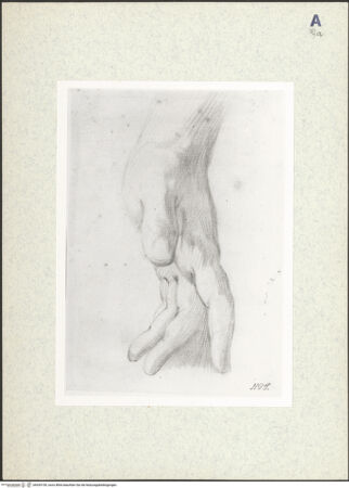 Vorderseite von bh435159_recto