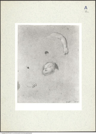 Vorderseite von bh435174_recto