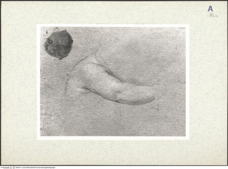 Vorderseite von bh435177_recto