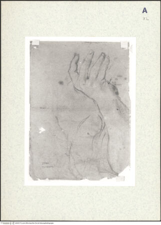 Vorderseite von bh435179_recto