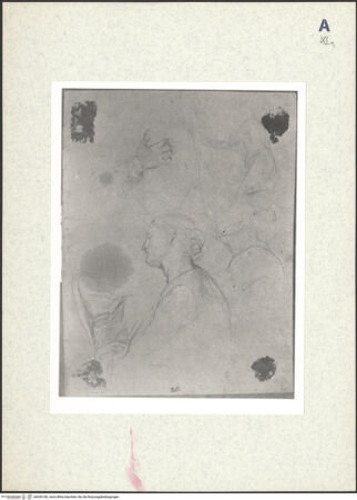 Vorderseite von bh435180_recto