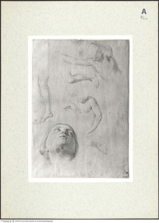 Vorderseite von bh435182_recto