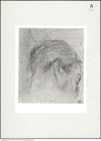 Vorderseite von bh435189_recto