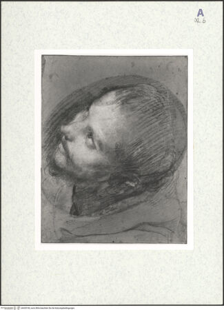 Vorderseite von bh435190_recto