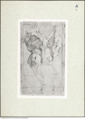 Vorderseite von bh435193_recto