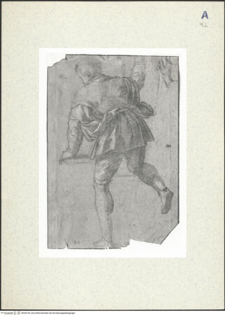 Vorderseite von bh435195_recto