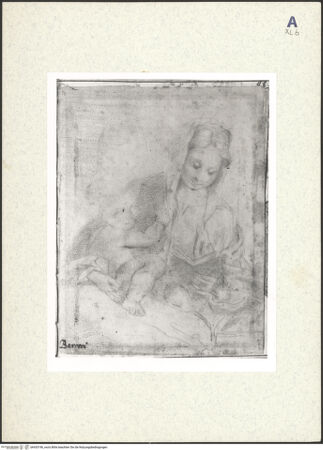 Vorderseite von bh435196_recto