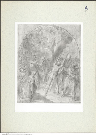 Vorderseite von bh435199_recto