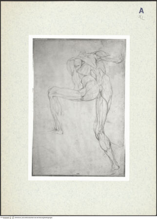 Vorderseite von bh435223_recto