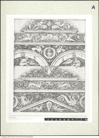 Vorderseite von bh435328_recto