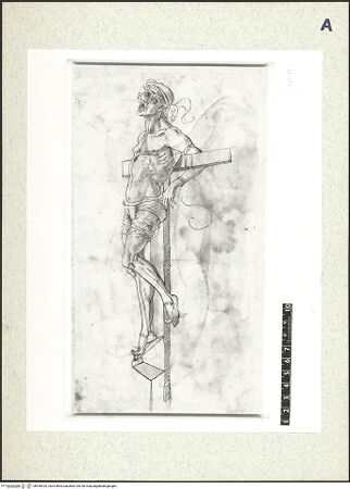 Vorderseite von bh435329_recto