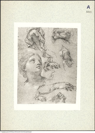 Vorderseite von bh435343_recto