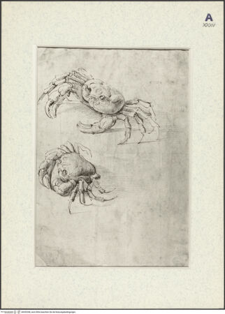 Vorderseite von bh435348_recto