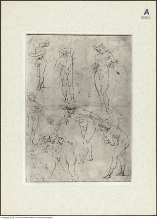 Vorderseite von bh435349_recto