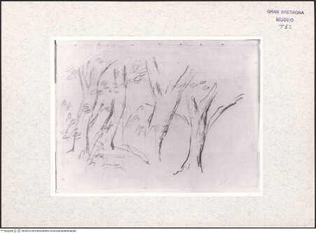 Vorderseite von bh435433_recto