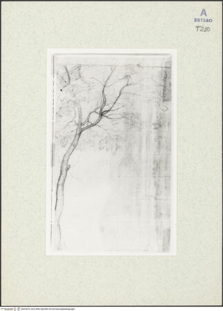 Vorderseite von bh435476_recto