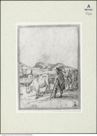 Vorderseite von bh435484_recto