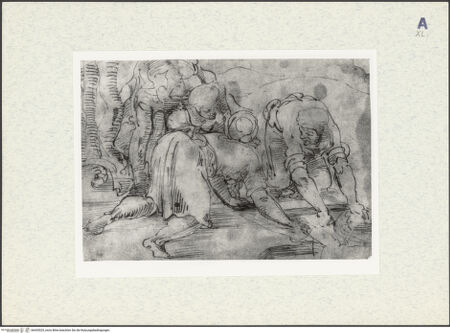 Vorderseite von bh435525_recto