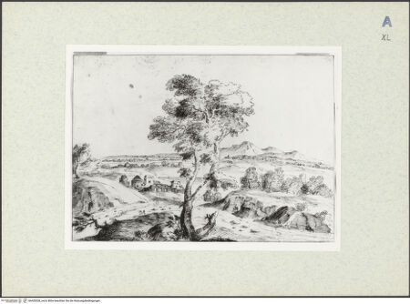 Vorderseite von bh435528_recto