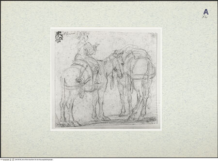 Vorderseite von bh435530_recto