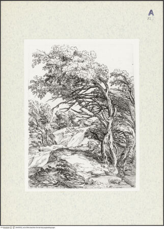 Vorderseite von bh435532_recto