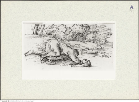 Vorderseite von bh435533_recto