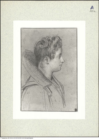 Vorderseite von bh435534_recto