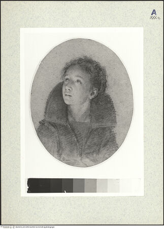 Vorderseite von bh435535_recto