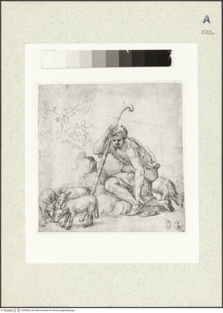 Vorderseite von bh435556_recto