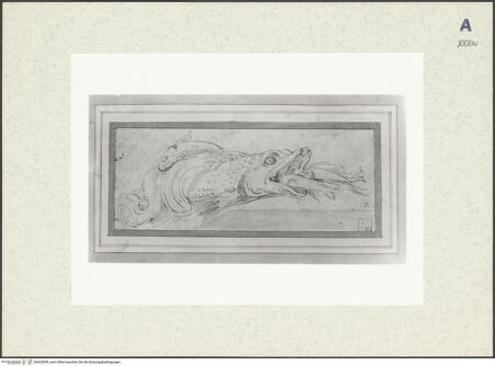 Vorderseite von bh435559_recto