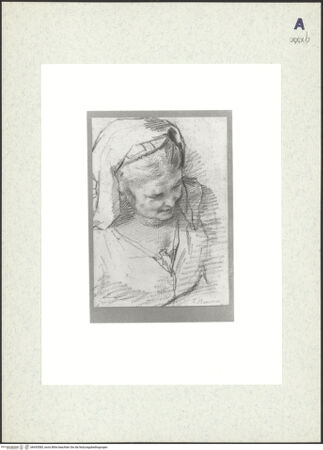 Vorderseite von bh435583_recto