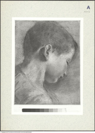 Vorderseite von bh435586_recto