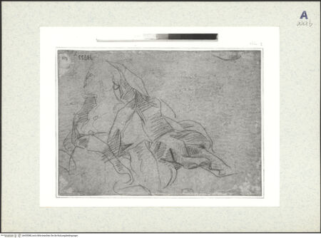 Vorderseite von bh435588_recto