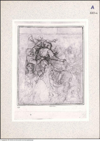 Vorderseite von bh435590_recto