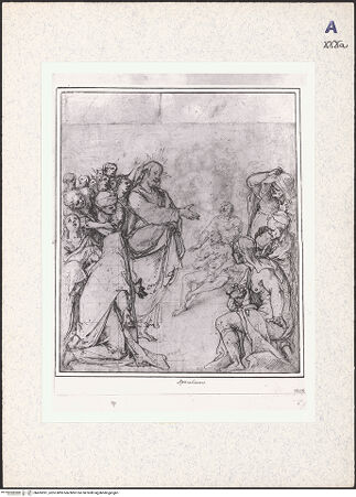 Vorderseite von bh435591_recto