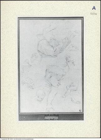 Vorderseite von bh435611_recto