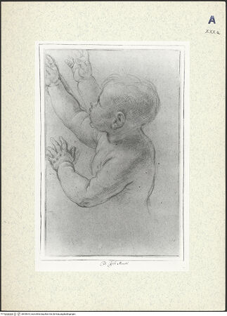 Vorderseite von bh435613_recto