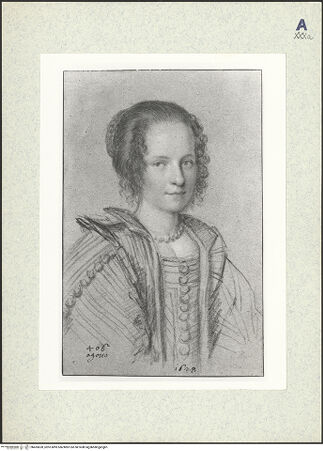 Vorderseite von bh435628_recto